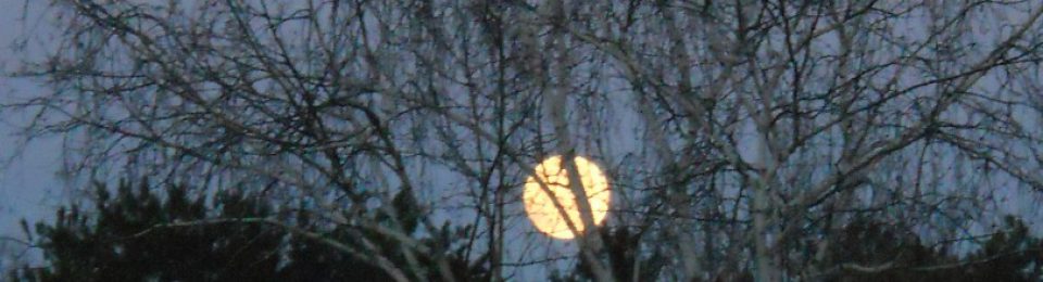 Pubs Along the Mississippi River – Pubs, Taverns and Eating Places Close to the Mississippi River